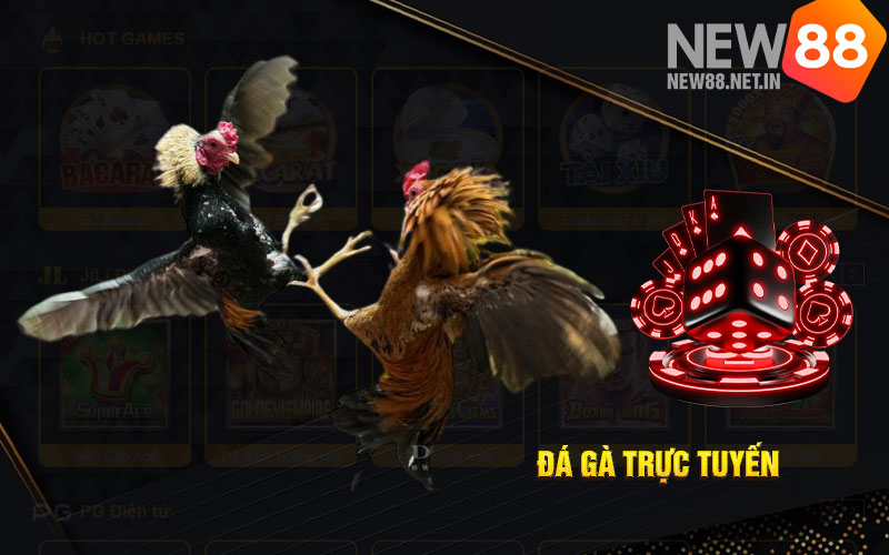 Nhà cái NEW88 có ưu đãi tỷ lệ trả thưởng cao