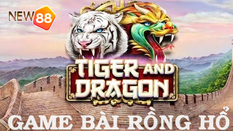 Luật chơi Dragon Tiger cho tân thủ